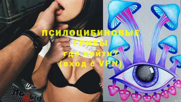 дурь Алзамай