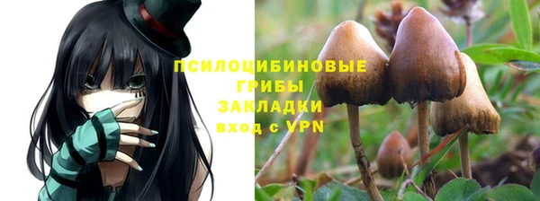 дурь Алзамай