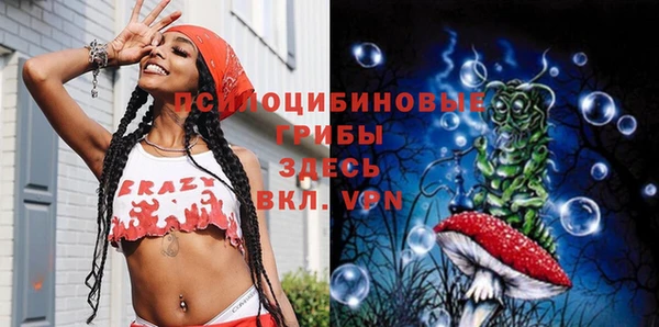 индика Алексеевка