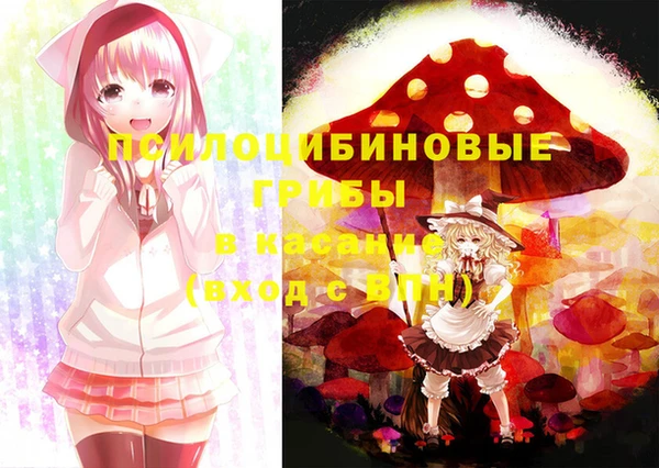 индика Алексеевка